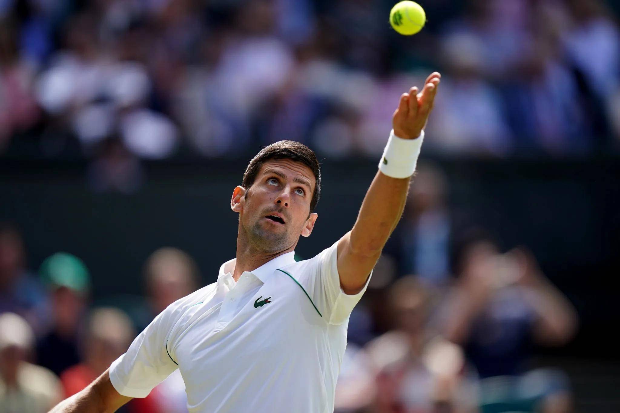 开云-关于海港强势横扫德约科维奇晋级半决赛，状态火热！的信息